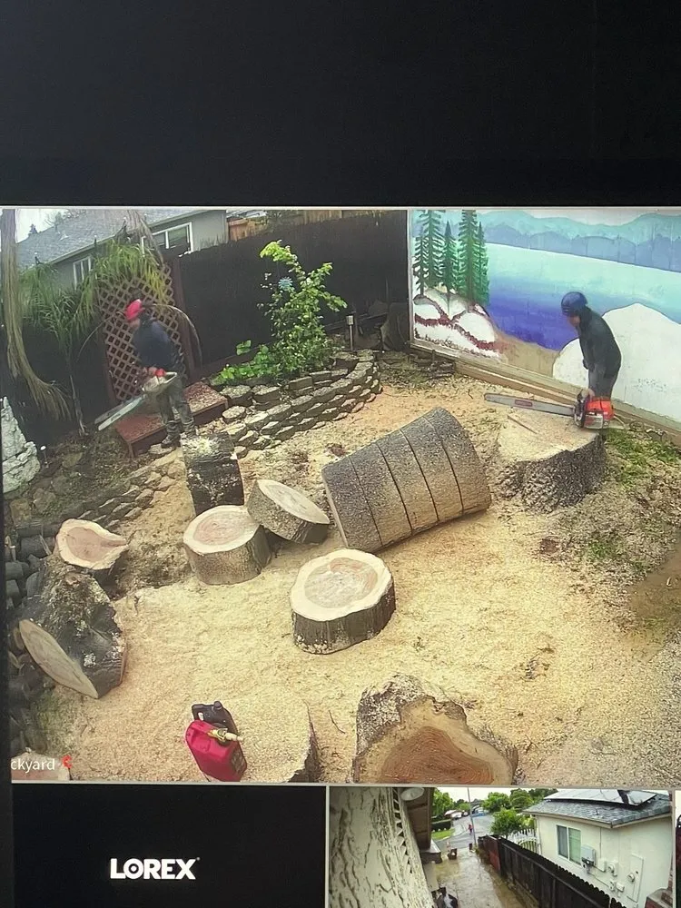 Local lawn care service in Sacramento, CA - Lemcy Tree Service