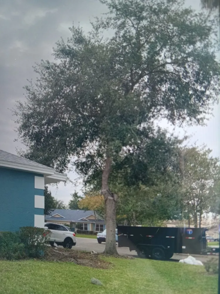 Affordable yard maintenance in Ocala, FL - Lemirand Tree & Landscape