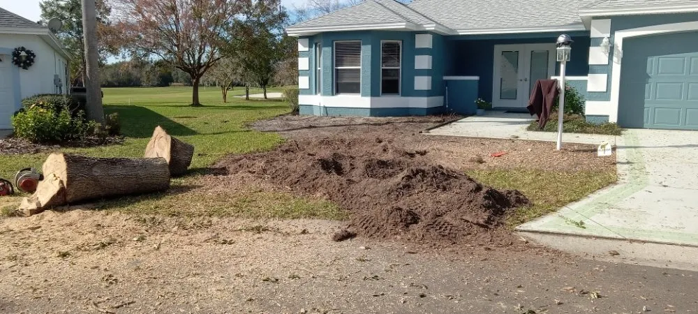 Expert lawn care service in Ocala, FL - Lemirand Tree & Landscape