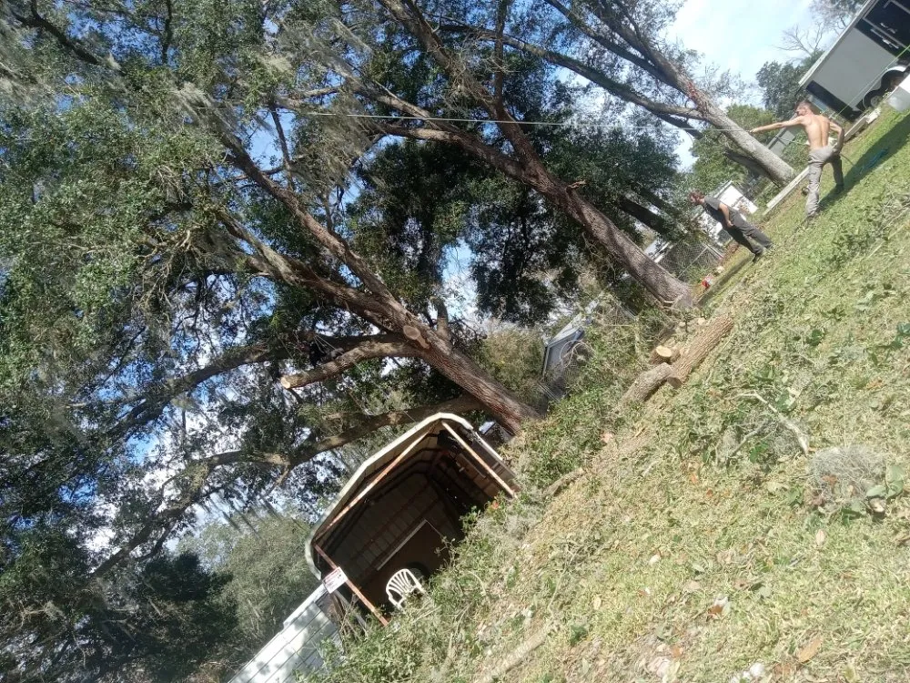 Affordable landscaping services for year-round maintenance across Ocala, FL - Lemirand Tree & Landscape