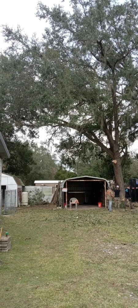 Affordable lawn mowing service in Ocala, FL - Lemirand Tree & Landscape