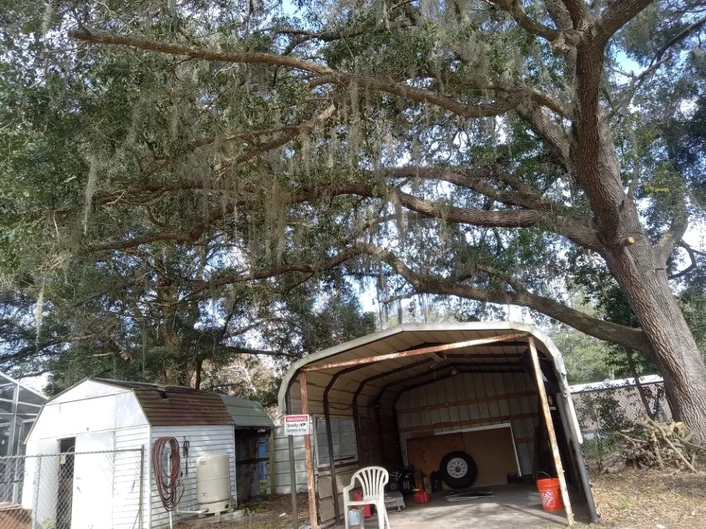 Trusted landscape installation experts serving Ocala, FL - Lemirand Tree & Landscape