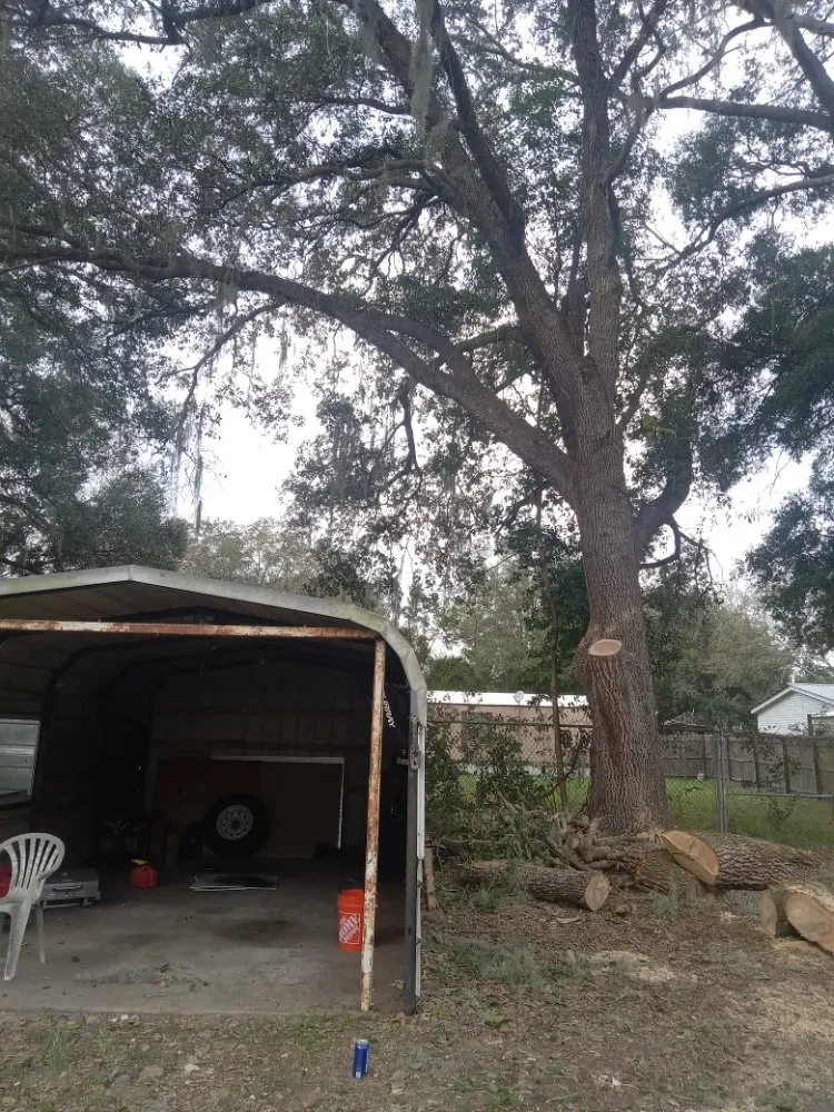 Top-rated yard cleanup service for residential properties in Ocala, FL by Lemirand Tree & Landscape