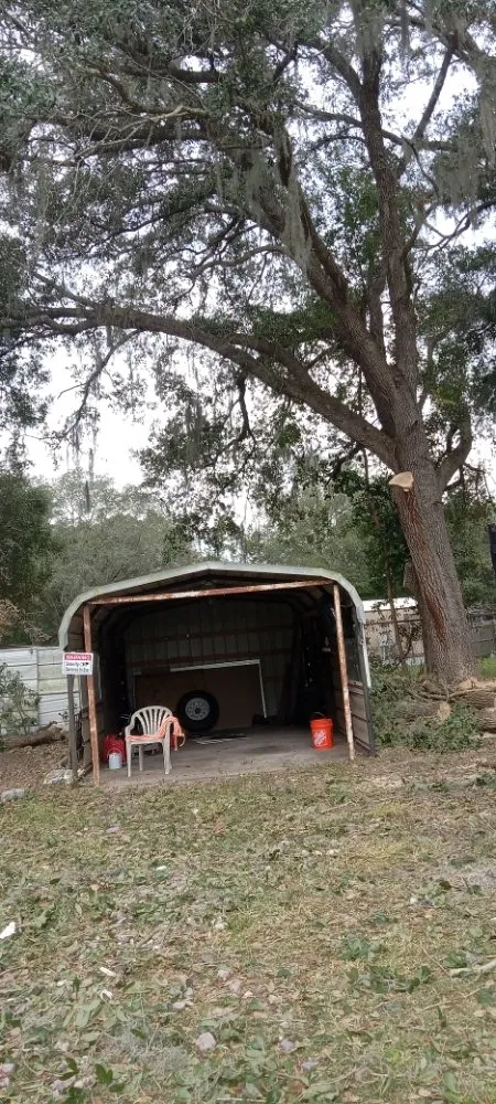 Top-rated landscape design experts serving Ocala, FL - Lemirand Tree & Landscape