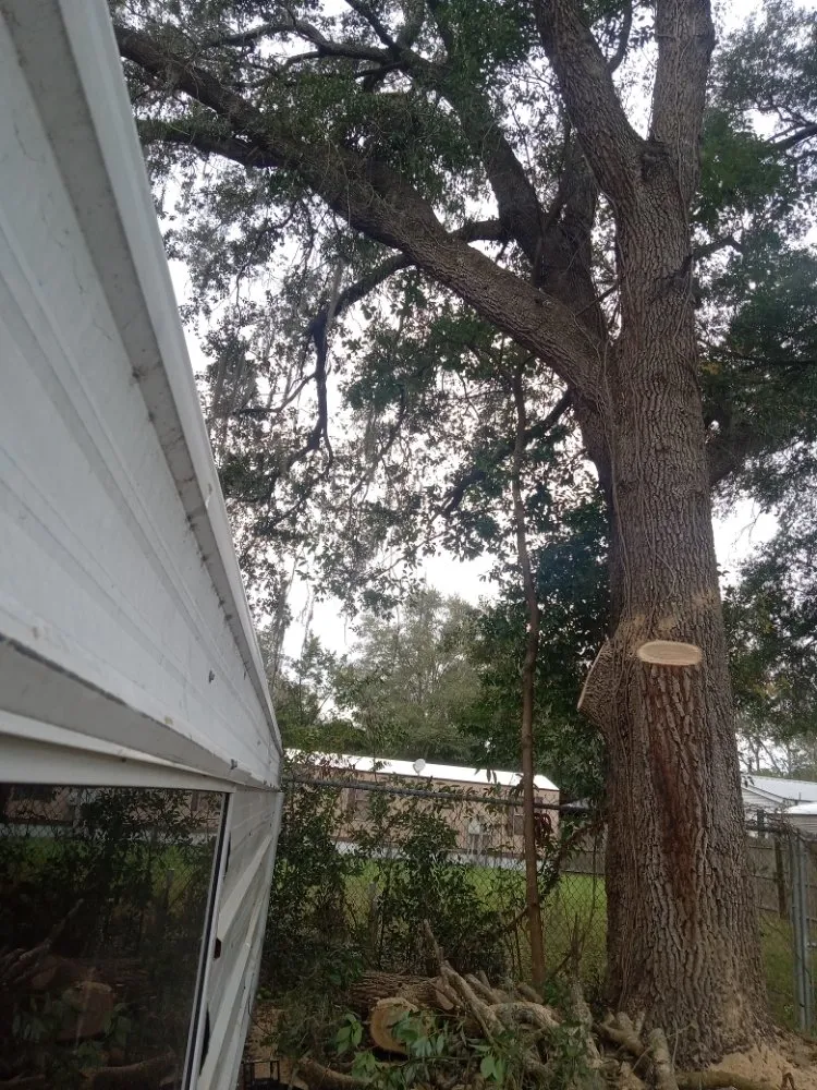 Local landscaping services in Ocala, FL by Lemirand Tree & Landscape