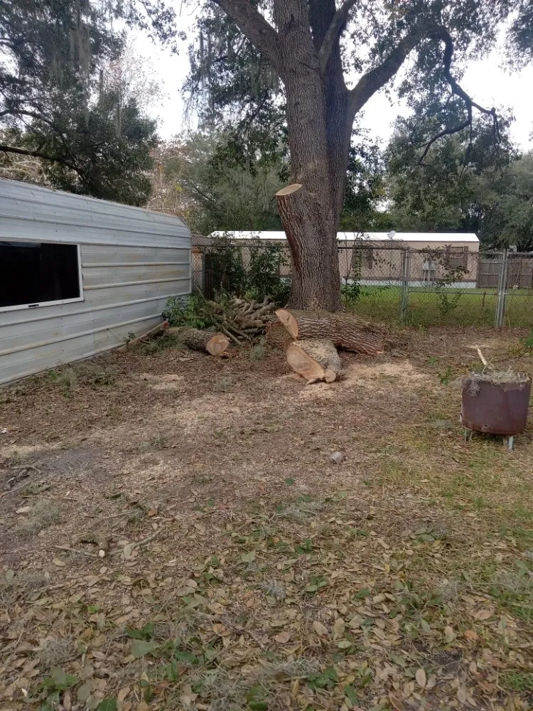 Local outdoor landscaping for outdoor upgrades across Ocala, FL - Lemirand Tree & Landscape