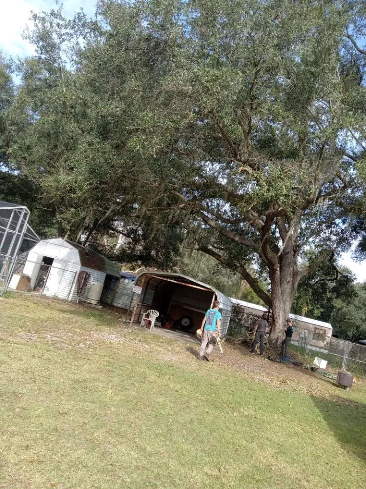 Top-rated lawn mowing service with custom design in Ocala, FL by Lemirand Tree & Landscape