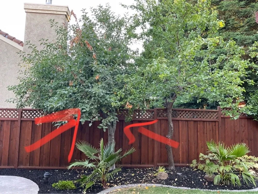 Local lawn mowing service in Vacaville, CA by Lemke Landscape Services