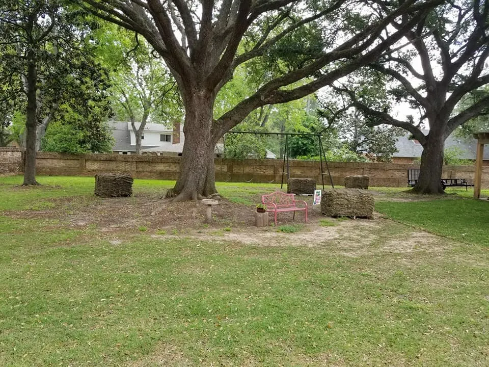 Custom residential landscaping for year-round maintenance in Alexandria, LA by LeMoine Landscaping & Lawn Service