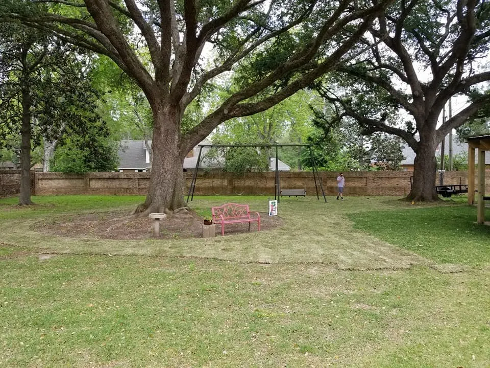 Local landscaping services with custom design across Alexandria, LA - LeMoine Landscaping & Lawn Service