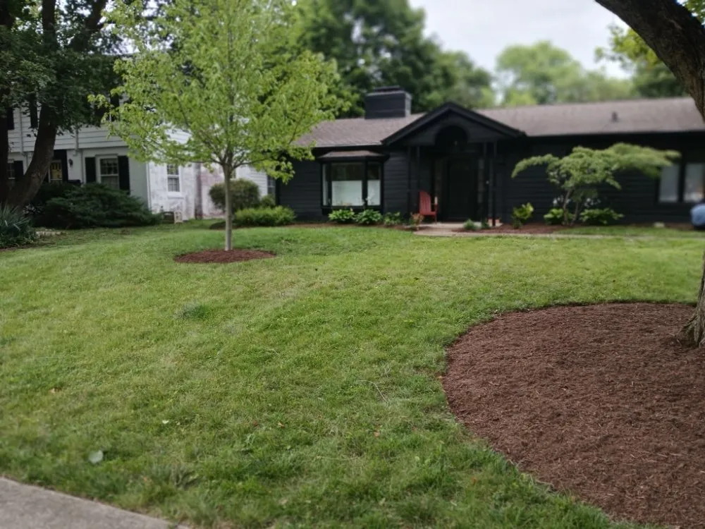 Expert outdoor landscaping experts serving Greenwood, IN - Lemon Green Lawn Care