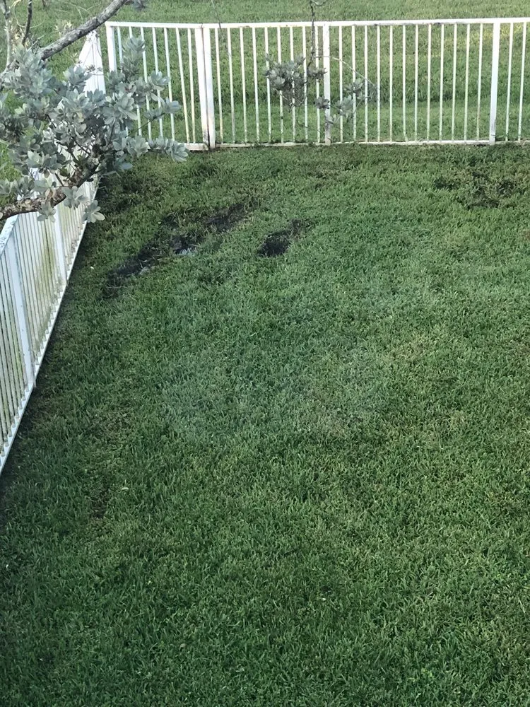 Local landscaping services experts serving Miami Gardens, FL - Lemon Lime Green Lawn Service