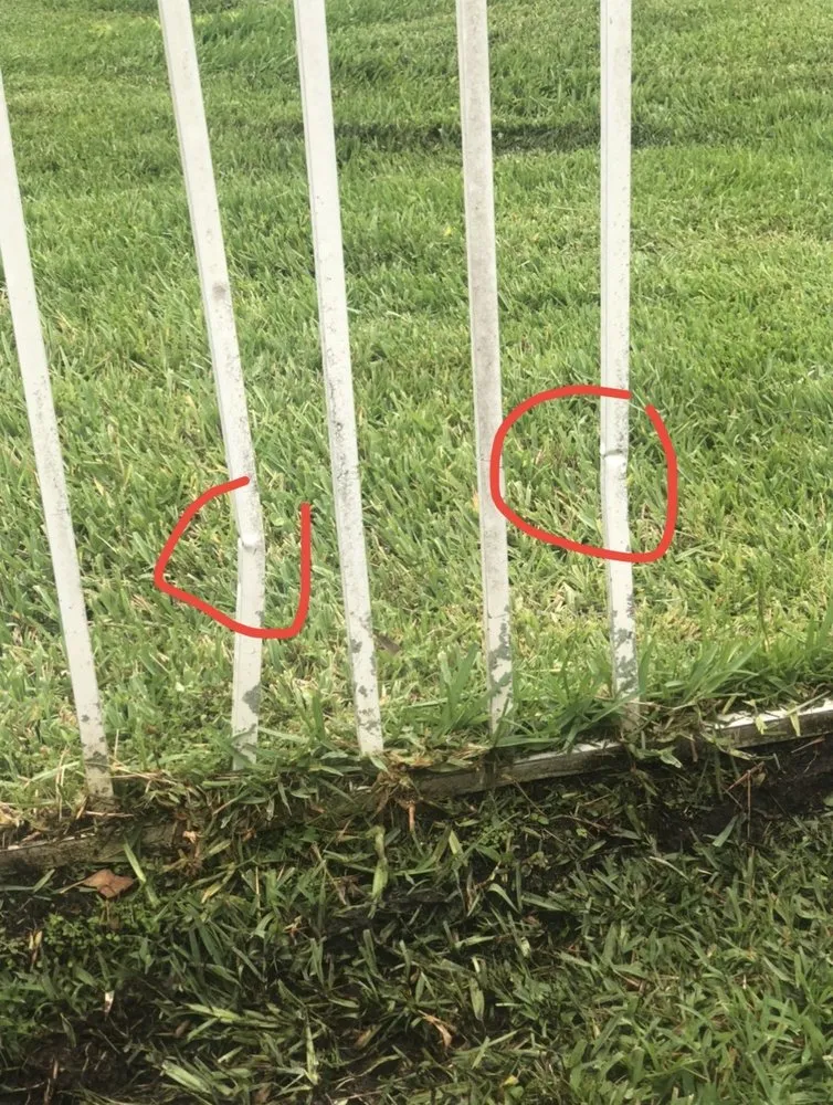 Reliable lawn care service near you in Miami Gardens, FL by Lemon Lime Green Lawn Service