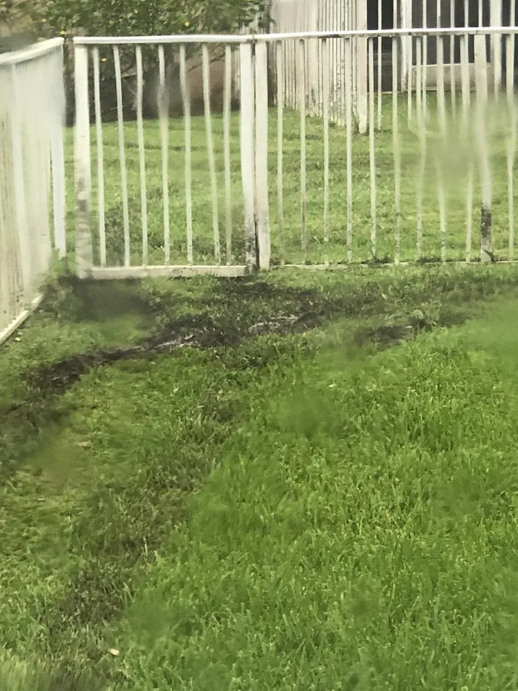 Expert outdoor landscaping with custom design in Miami Gardens, FL by Lemon Lime Green Lawn Service