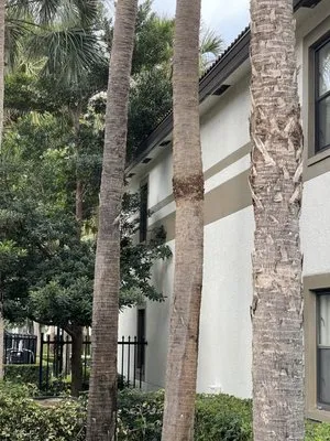 Lemon Lime Green Lawn Service Logo