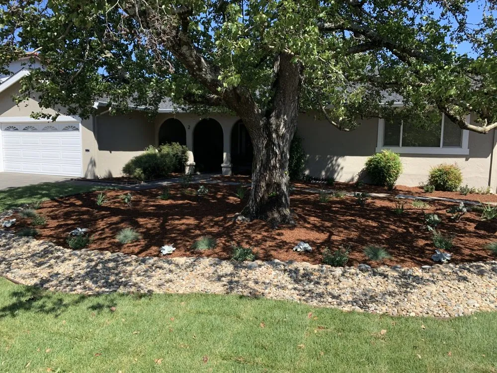 Local landscape installation in Novato, CA - Lemons & Lavender Edible Gardens