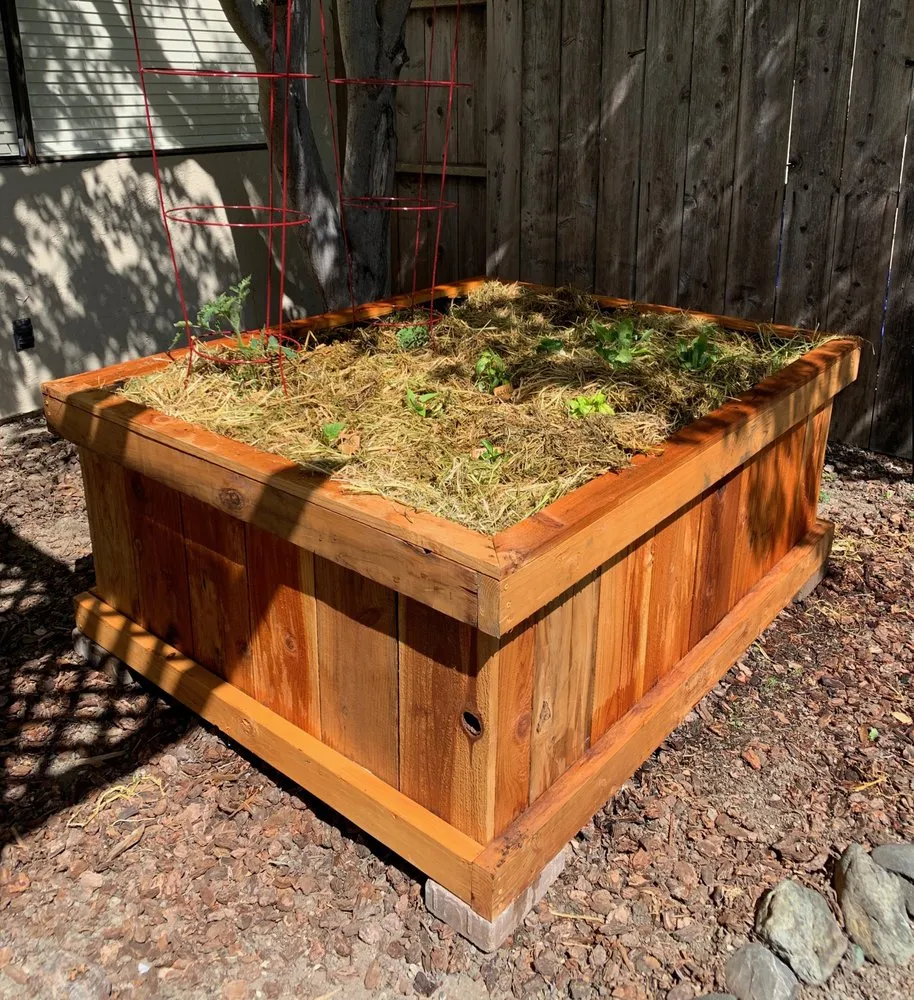 Affordable lawn mowing service for outdoor upgrades across Novato, CA - Lemons & Lavender Edible Gardens