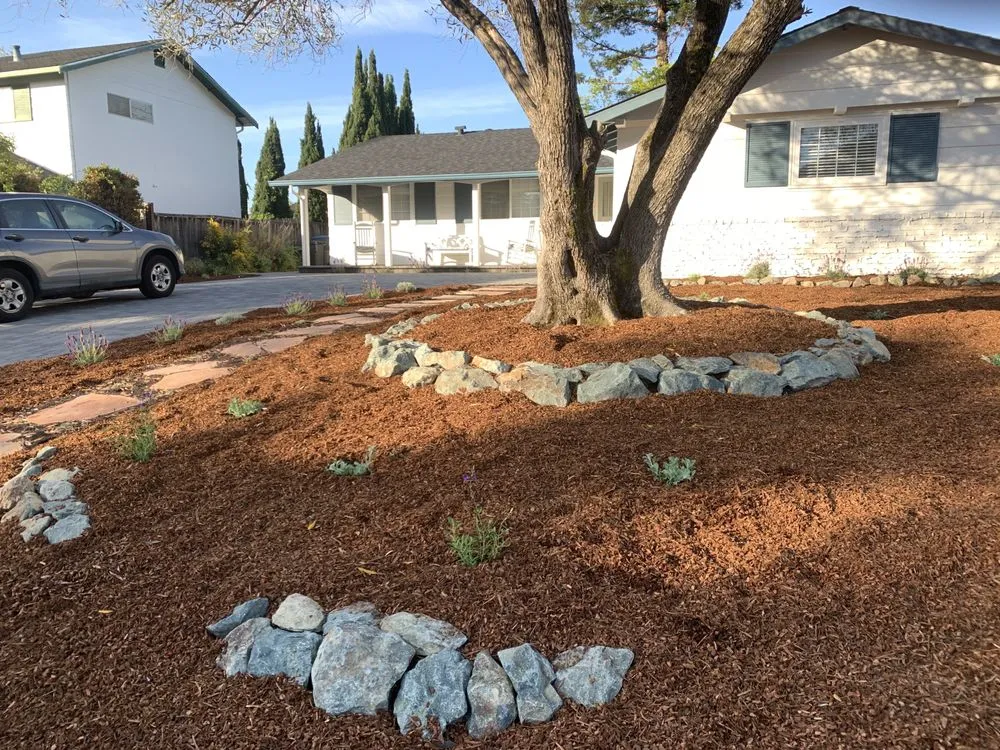Trusted landscaping services experts serving Novato, CA - Lemons & Lavender Edible Gardens