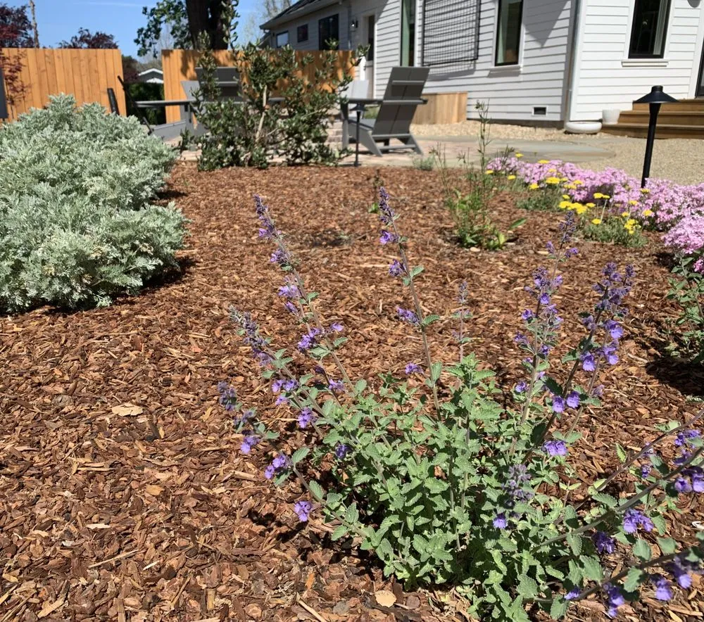 Reliable garden landscaping for beautiful yards across Novato, CA - Lemons & Lavender Edible Gardens