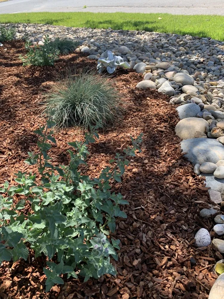 Expert lawn mowing service in Novato, CA by Lemons & Lavender Edible Gardens