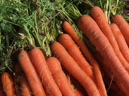 Lemons & Lavender Edible Gardens Logo