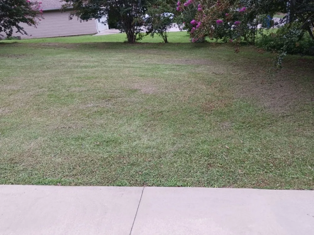 Custom lawn mowing service in Guntersville, AL - Lemons Complete Lawn Care service