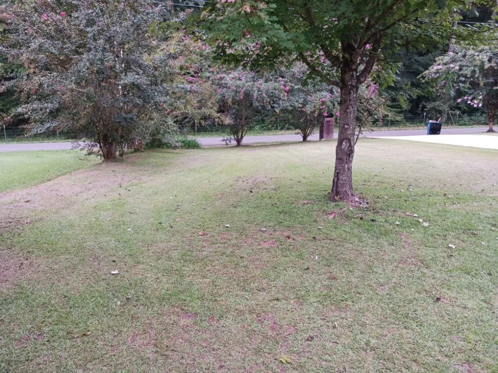 Trusted yard cleanup service in Guntersville, AL - Lemons Complete Lawn Care service