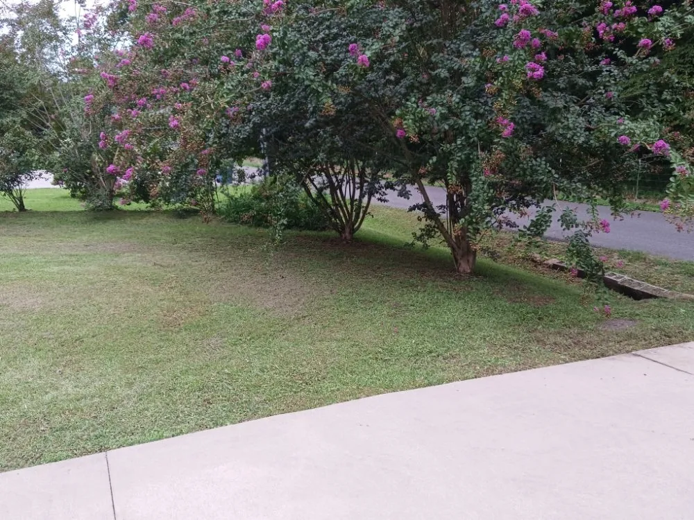 Reliable yard maintenance in Guntersville, AL - Lemons Complete Lawn Care service