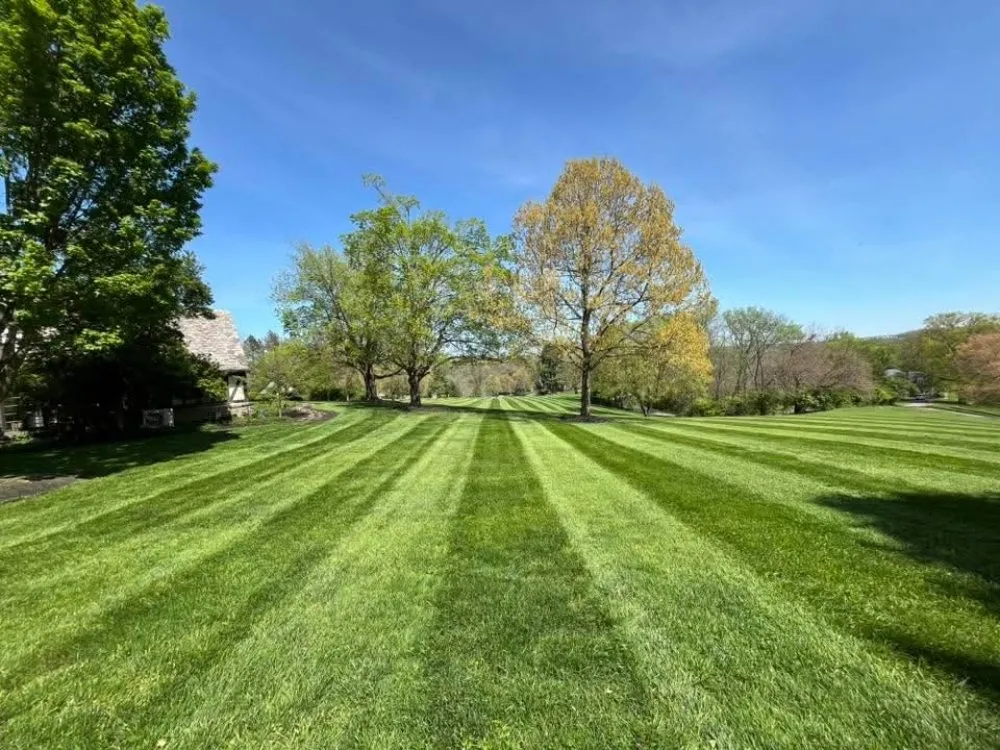 Top-rated residential landscaping experts serving Unadilla, NY - Lemons Lawn Care And Cleanouts