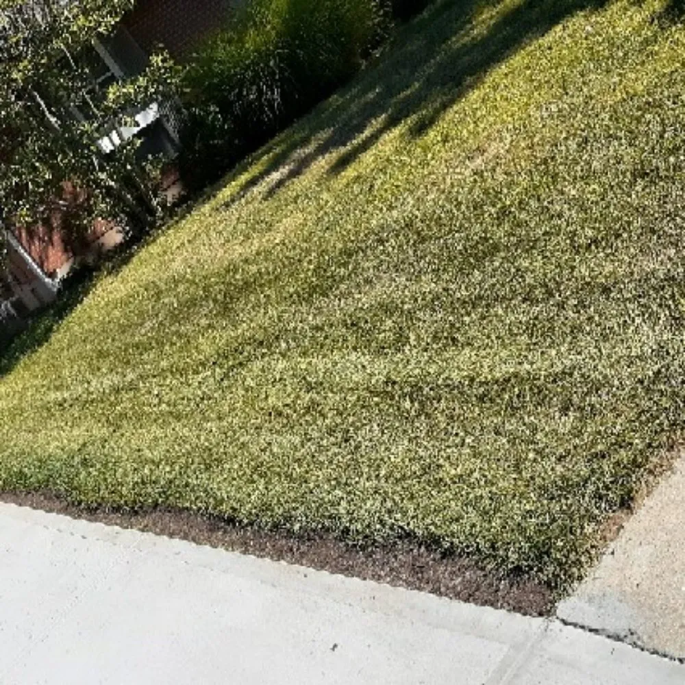 Professional landscape design experts serving Oxford, OH - Lemons Lawn Care