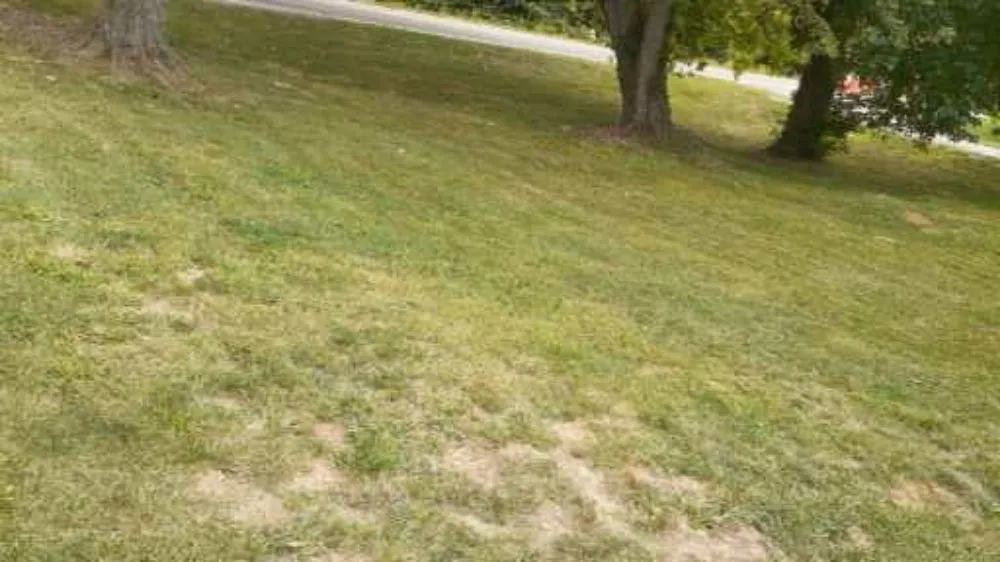 Custom garden landscaping experts serving Oxford, OH - Lemons Lawn Care