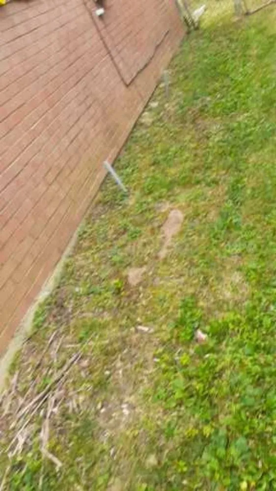 Local residential landscaping in Oxford, OH by Lemons Lawn Care