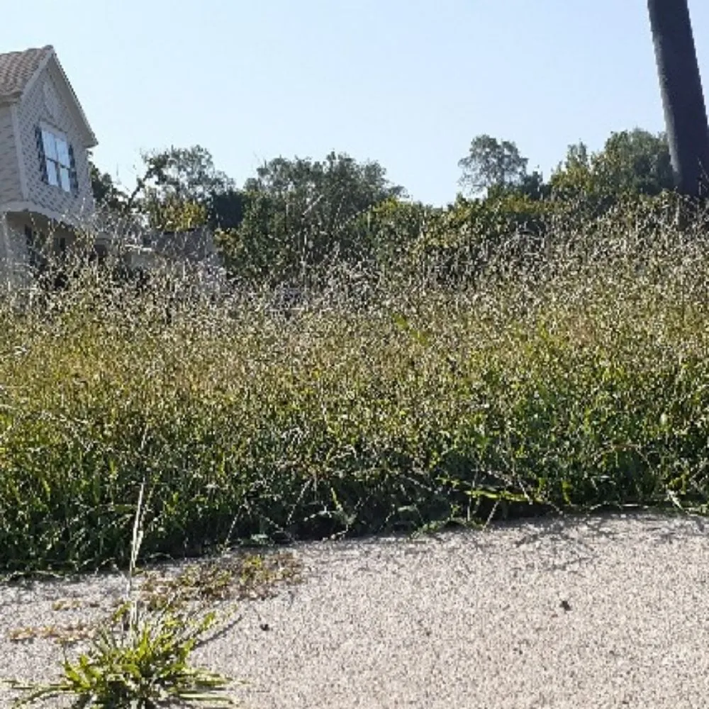 Expert landscape design in Oxford, OH - Lemons Lawn Care