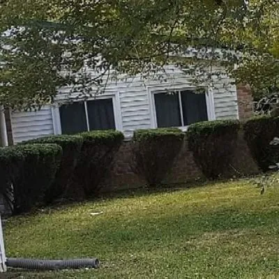 Lemons Lawn Care Logo