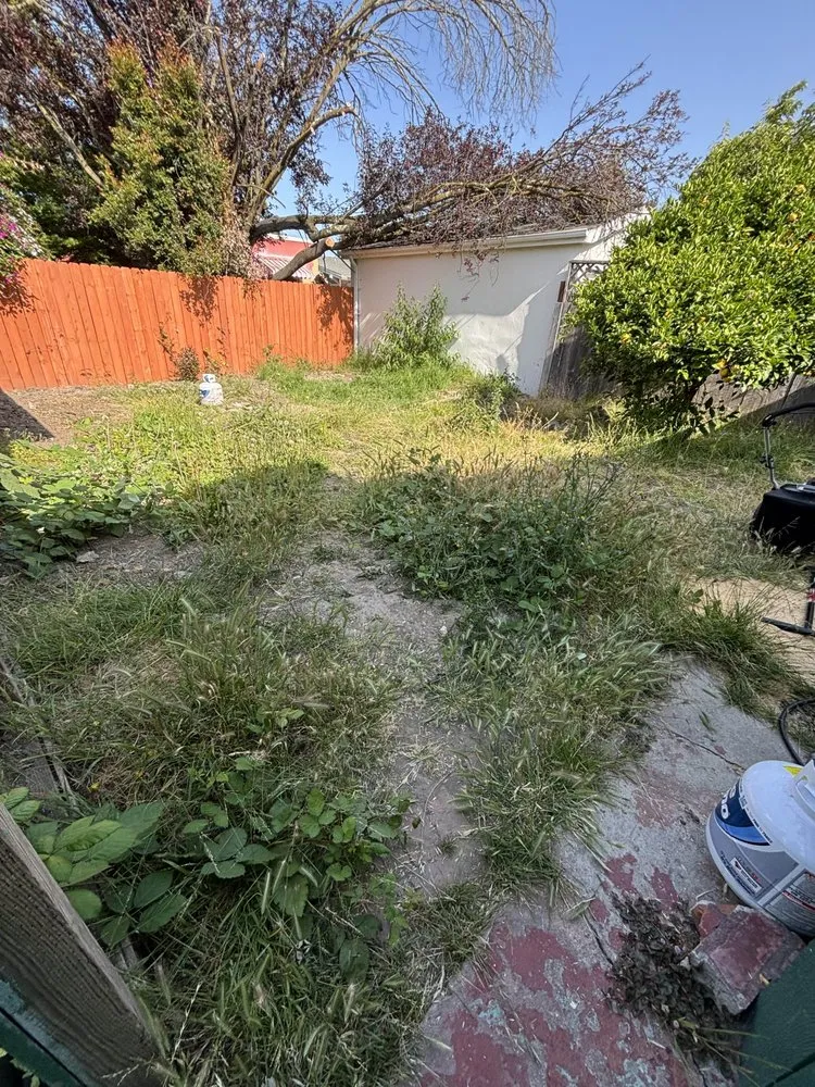 Expert yard maintenance in Oakland, CA - Lemonwood Lawn Solutions