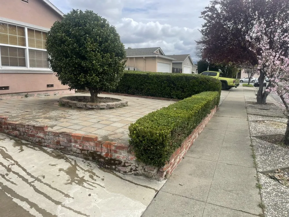 Top-rated landscaping services in Oakland, CA - Lemonwood Lawn Solutions