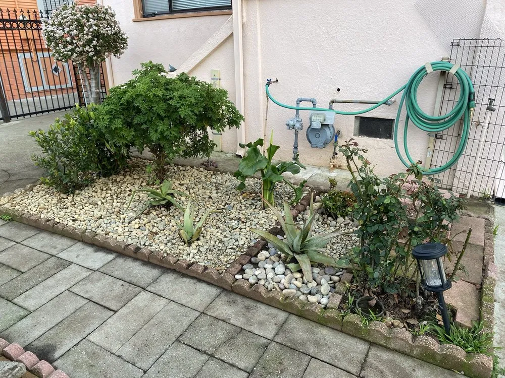 Professional landscape installation in Oakland, CA - Lemonwood Lawn Solutions