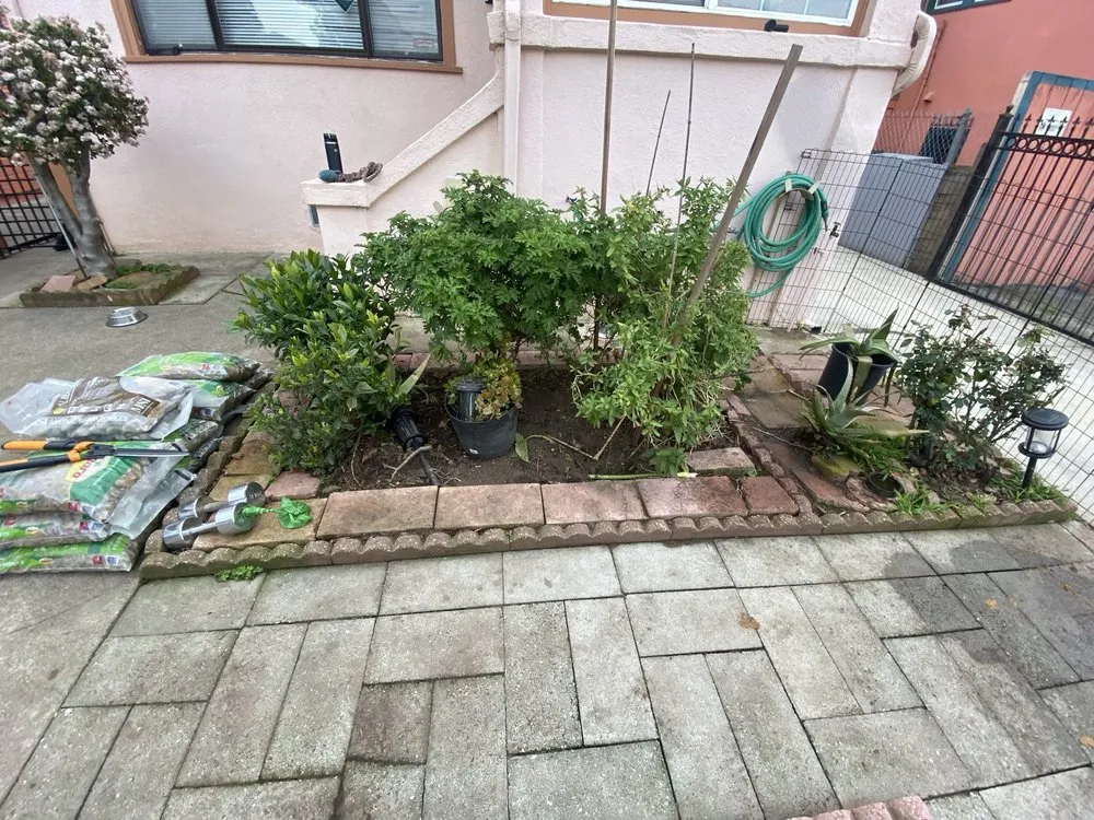 Affordable lawn care service in Oakland, CA - Lemonwood Lawn Solutions