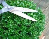 Custom landscaping services in Oxford, PA by Lemos Landscaping