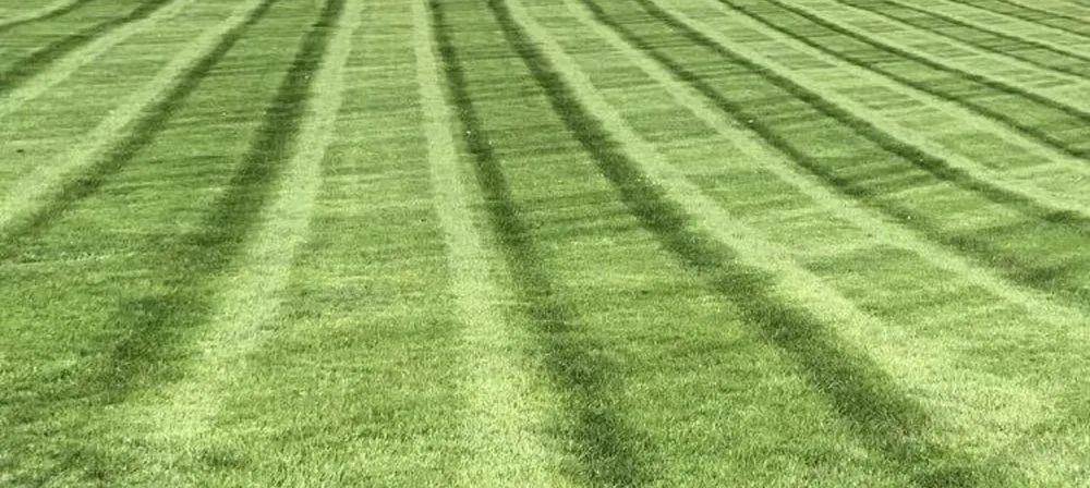 Professional yard maintenance experts serving Elgin, IL - Lemuel Zenon Landscaping