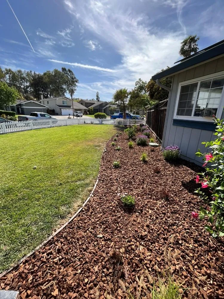 Expert landscaping services in San Jose, CA - Lemus Landscaping & Excavating