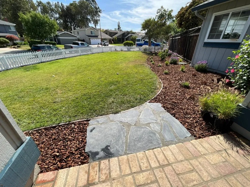 Top-rated yard cleanup service in San Jose, CA by Lemus Landscaping & Excavating