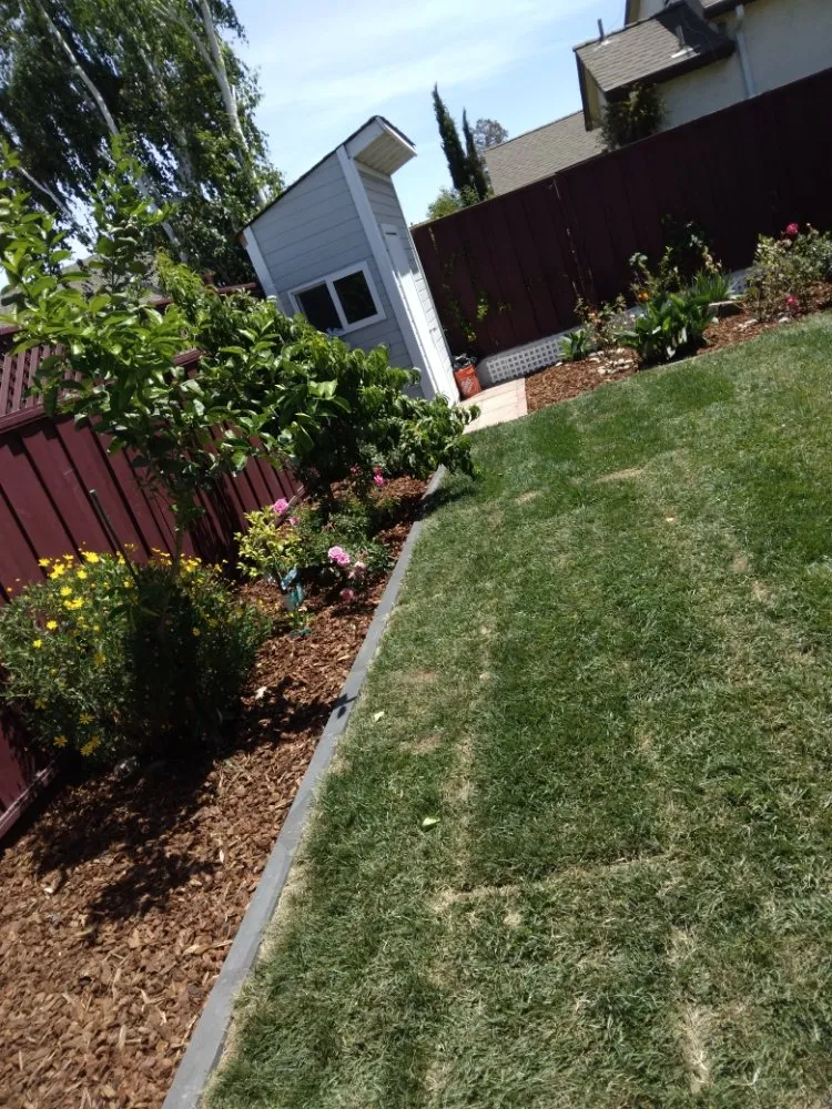 Top-rated yard cleanup service near you in San Jose, CA by Lemus Landscaping & Excavating