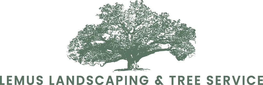 Top-rated yard maintenance for year-round maintenance in San Antonio, TX by Lemus Landscaping and Tree Service