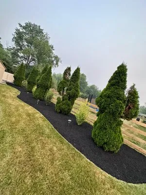 Lemus Landscaping Logo