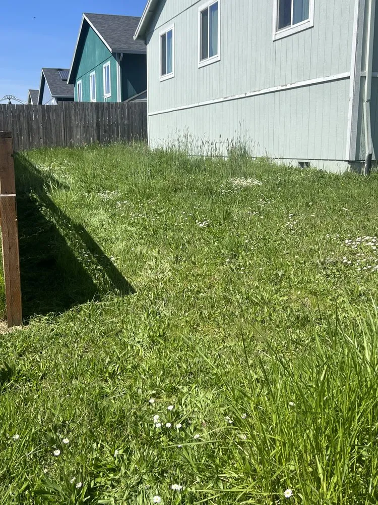 Professional landscape installation in McMinnville, OR - Lemus Landscaping