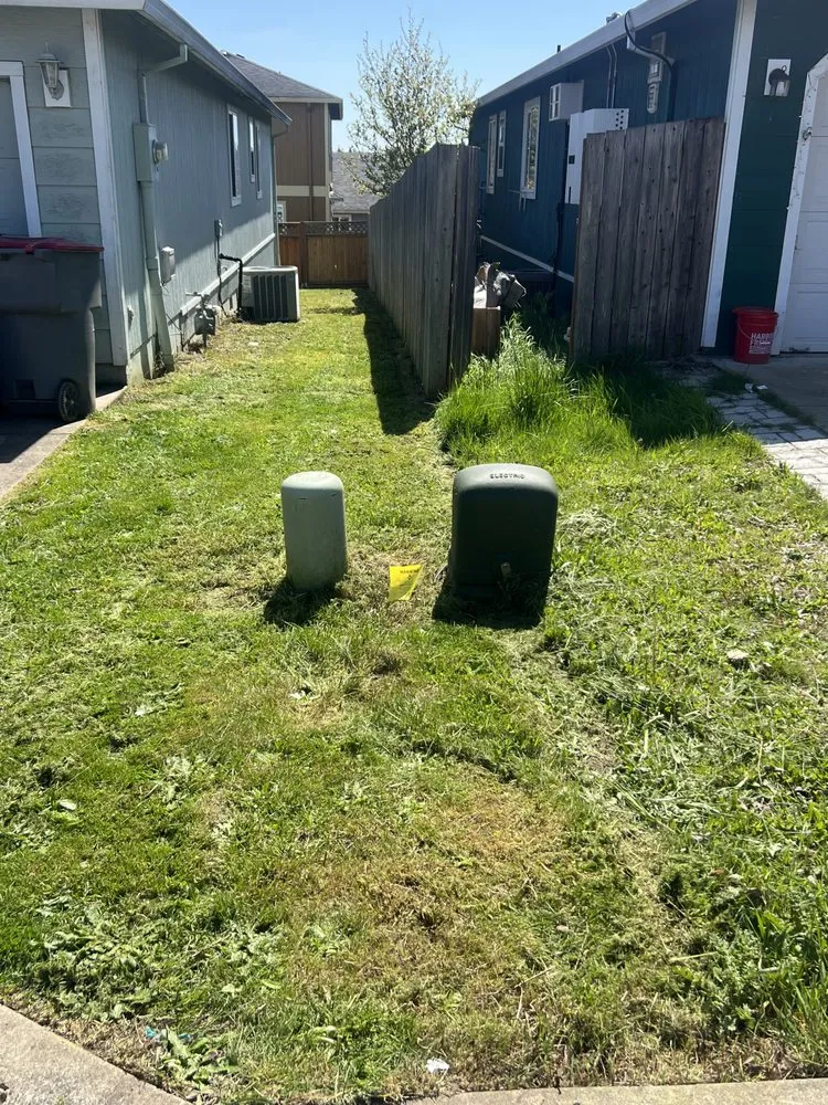 Affordable landscape design in McMinnville, OR by Lemus Landscaping