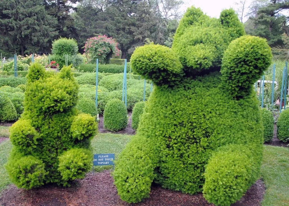 Professional yard cleanup service for residential properties across Schwenksville, PA - Lemuz Landscaping