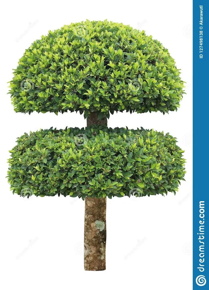 Reliable landscaping services in Schwenksville, PA by Lemuz Landscaping