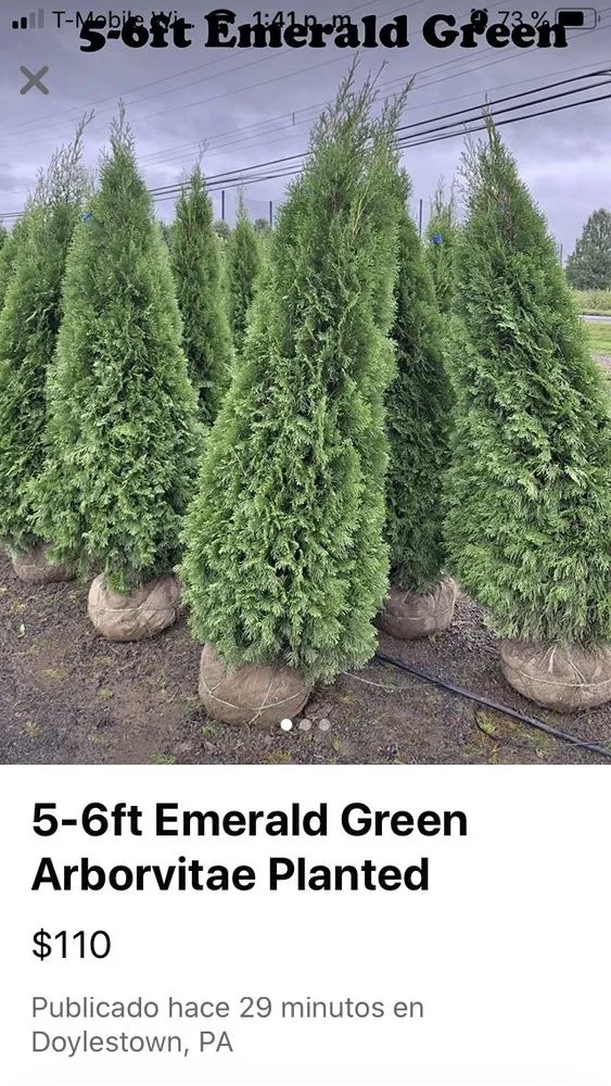 Professional lawn mowing service experts serving Schwenksville, PA - Lemuz Landscaping